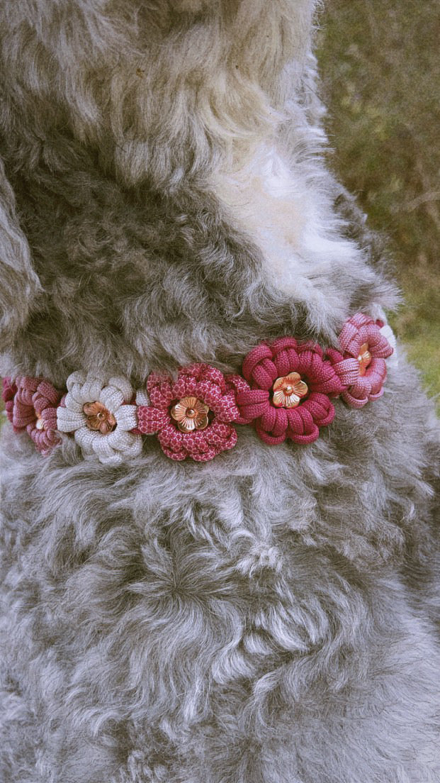 Halsband "Evergarden"