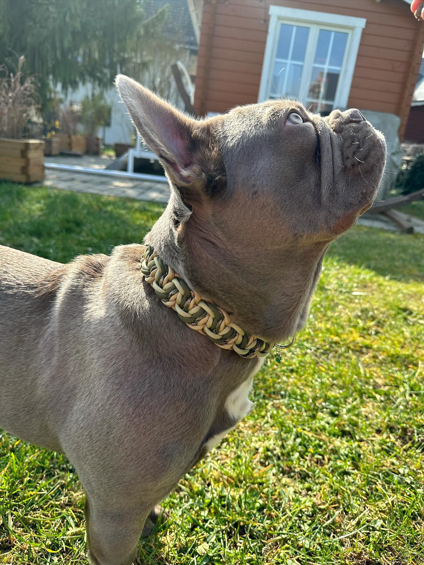 Halsband „Wave“