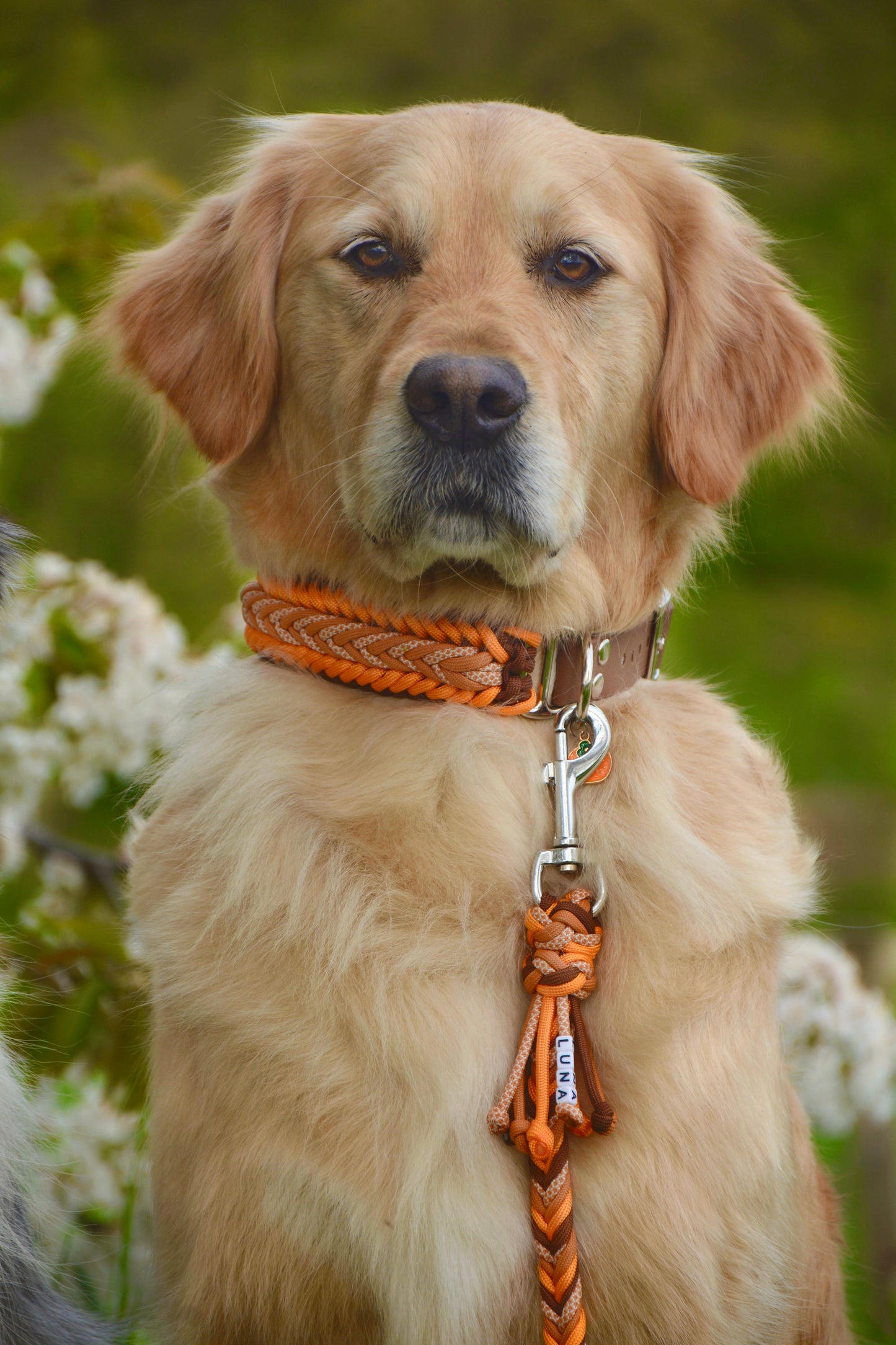 Halsband "Wildknot"