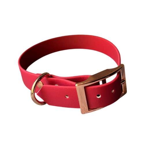 Biothane Halsband