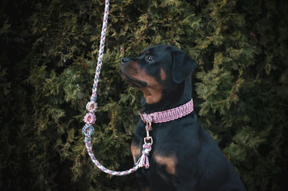 Halsband Glamour