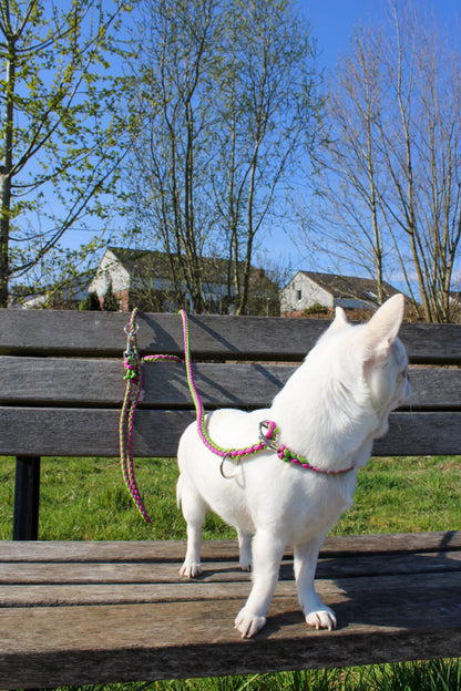 Retrieverleine
