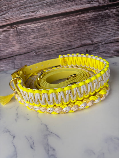 Leine + Halsband Yellow (HU 40-51cm)